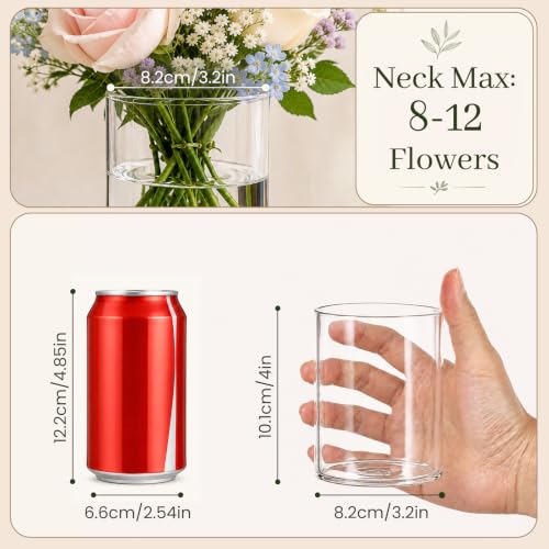 4 Inch Glass Cylinder Vases Set of 12 for Centerpieces and Flowers - Minimalist Design