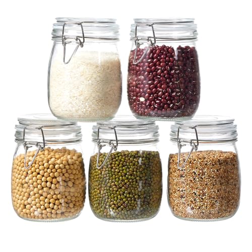 25 Oz Food Storage Jars Set of 5 - Airtight Glass Canisters with Wire Clip Lids