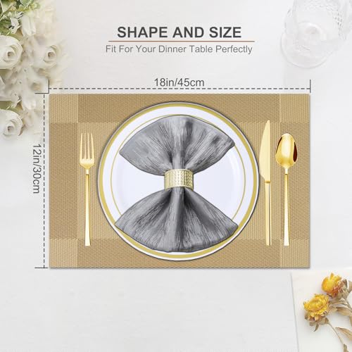 BETEAM Placemats Set of 12, Woven Vinyl Place Mats for Dining Table,