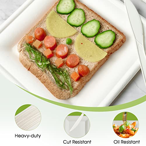 ECOLipak 150 Piecs Compostable Square Paper Plates, 10 inch, White