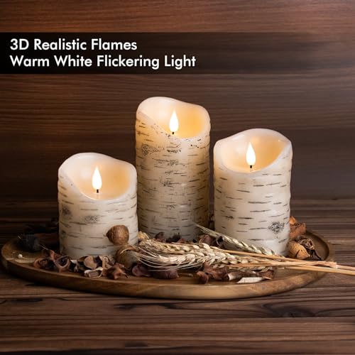 Birch Flameless LED Candles Set of 3 with Remote & 4/8H Timer, 4"/5"/6" Heights - Battery Operated