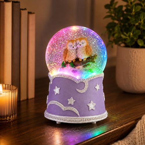 Mr.Winder Owl Snow Globe Music Box with Color Lights - Musical Decor Gift
