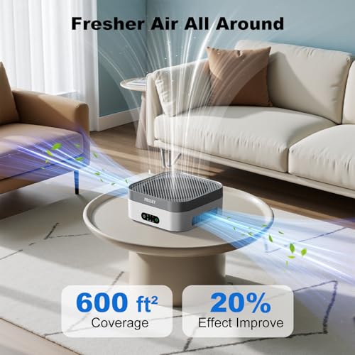 Prasky White Gray Air Purifier with 2 Filters, Quiet HEPA Car & Home Room Air Cleaner
