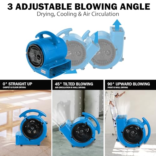 MOUNTO Blue 1/5HP 3-Speed Air Mover Blower Fan for Floor & Carpet Drying