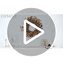 CHEAWRTZ 24in Fall Wreath with Handcrafted Paper Flowers - Deep Red & Orange
