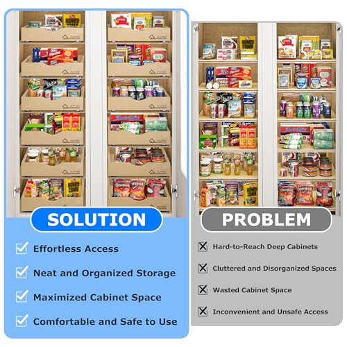 WelFurGeer 20''W x 21''D Natural Birch Wood Soft Close Pull Out Cabinet Drawer with Heavy Duty Slides