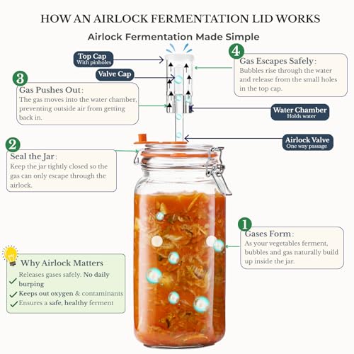 JILLMO 2L Wide Mouth Fermentation Jar Set with Airlocks & Glass Weights - 2 Pack