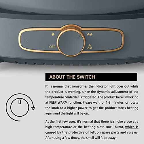 Dezin 6L Electric Hot Pot with Divider - Gray, Adjustable Power, Non-Stick