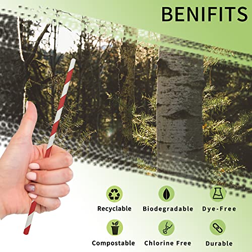 Red & White Striped Paper Straws Bulk 100pcs – 7.75in Disposable Kraft Straws, NBYILONG
