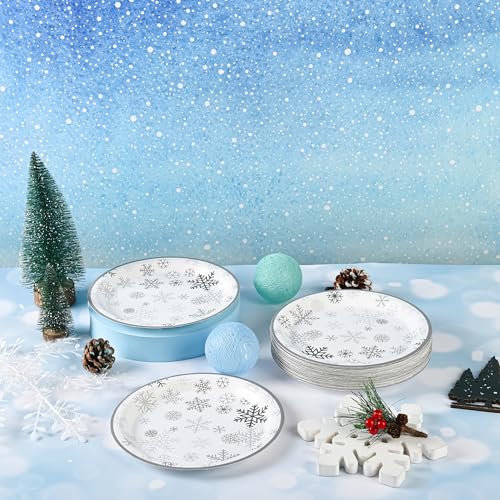 AimFun 48 Pcs Grey Snowflake 7-Inch Dessert Plates - Disposable Christmas Party Tableware