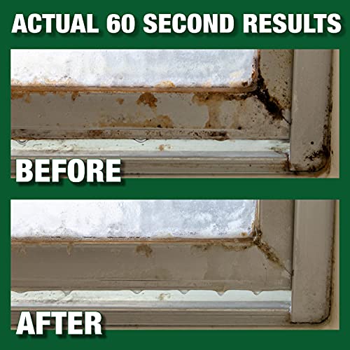 Mold Armor Rapid Clean Remediation Mold & Mildew Remover - 1 Gallon - Remediation