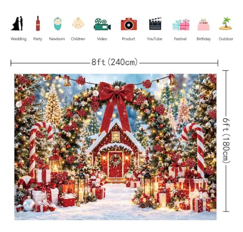 8x6FT Christmas Backdrop with Red Cabin Winter Scene Arch – CINRAY