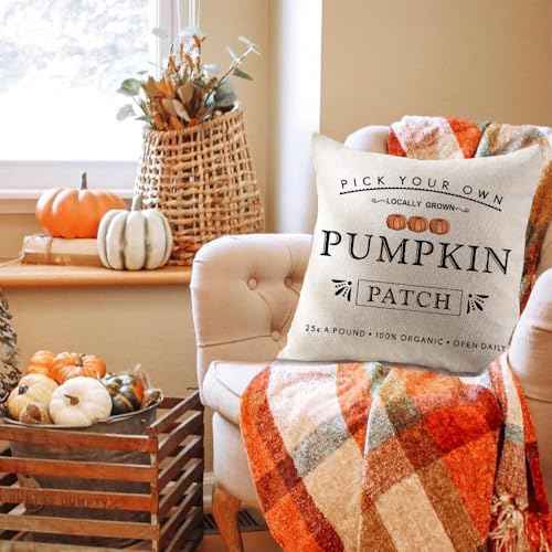 Fall Pumpkin Patch Throw Pillow Covers Autumn Harvest Pillow Case 20 x 20 Inch Farmhouse Decorations