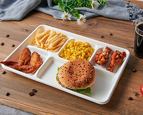 Compostable 5-Compartment Paper Plates 100 Pack Eco-Friendly Disposable Dinnerware