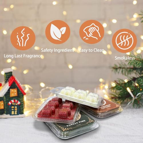 Christmas Scented Wax Melts Set - Winter Holiday Soy Cubes with Pine, Gingerbread, Peppermint & Spiced Cider
