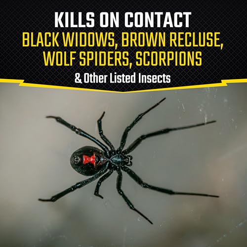 12 Pack Black Flag Spider and Scorpion Killer Aerosol Spray - 16 Ounces