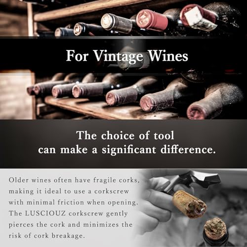 LUSCIOUZ Zero Resistance THE HELIX Corkscrew Silent Wine Bottle