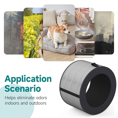 VALZONE PuriCare 360 Filter for LG AS601HBB0 HEPA & Activated Carbon Purifier