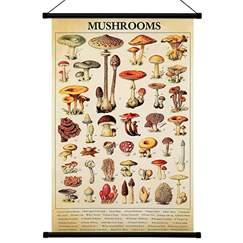 Geyee Vintage Christmas Mushroom Poster Tapestry Fungus Wall Art Prints Rustic Mushroom Wall Hanging Illustrative Reference Poster for Living Room Office Bedroom Decor, 15.8x23.6 Inch(Kraft Color)