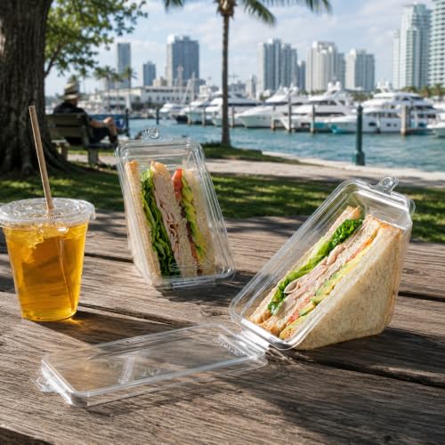 Triangle Food Containers 100 Pack - Clear Plastic Sandwich Wedge with Hinged Lid