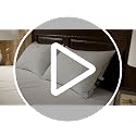 Pacific Coast Premium Goose Feather & Down Bed Pillow - Standard Size, Hotel Quality, Medium-Firm, 1-Pack (Variation: Standard)