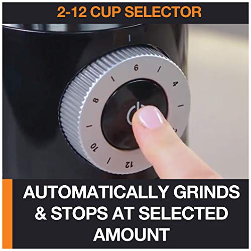 KRUPS Coffee Grinder 12 Settings, 8oz Capacity, Auto-Stop, Easy Clean - Black + Silver