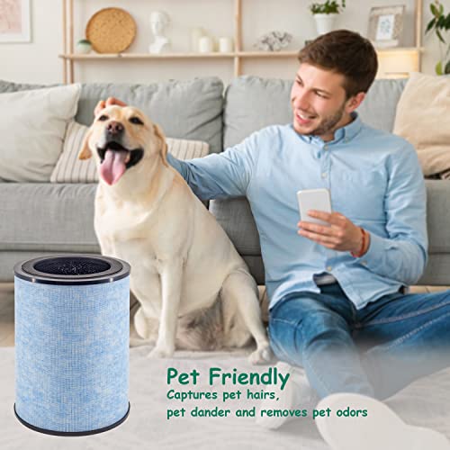 HEPA Air Purifier Filter Replacement for Instant AP300 - 2 Pack