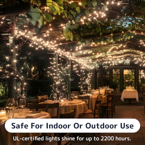 PREXTEX 100 Count Clear Christmas Lights - 20 ft Ultra Bright String Lights with Green Wire for Indoor and Outdoor Use, Christmas Trees, Holidays, Patios and Garden