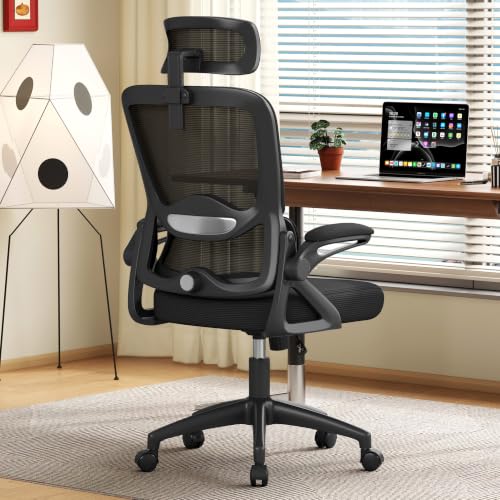Nexthro Deep Black Mesh Office Chair with Lumbar Support & Headrest, Heavy-Duty Big & Tall Desk Chair