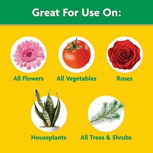 Miracle-Gro Water Soluble All Purpose Plant Food 10 lb – Fast-Acting Fertilizer