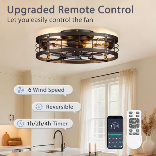 20-Inch Black Caged Ceiling Fan with Light and Remote - Farmhouse Low Profile
