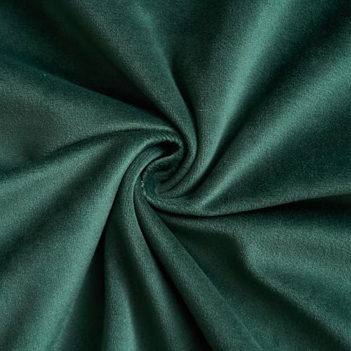 LIGICKY 2-Pack Dark Green Velvet Lumbar Pillow Covers 12x20 Inches Modern Minimalist Decor