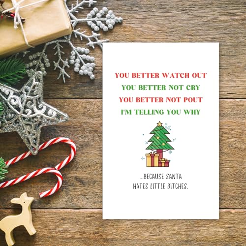Funny Christmas Card for Female Friend - Rude Bestie Santa Hates Little Bitches