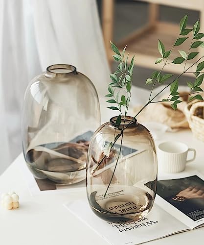 GeLive Brown Glass Vase - Round Flower Bottle for Centerpieces & Home Decor