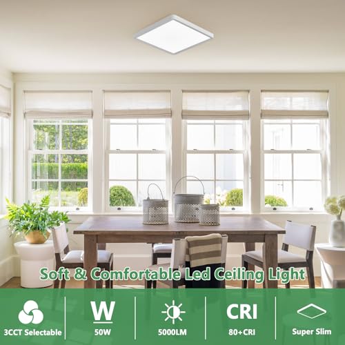 FY WISDOM FLY LIGHTING 20 Inch LED Flush Mount Ceiling Light 45W 4500LM 3CCT White 2-Pack