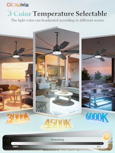 52-Inch Outdoor Ceiling Fan with Lights Waterproof IP65 Black