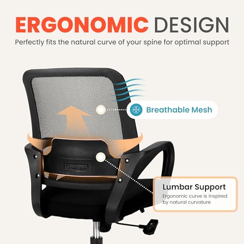 NEO CHAIR Home Office Desk Ergonomic Mesh with Lumbar Support, Black