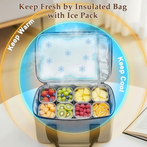 ANYPROLUS Silver Insulated Snackle Box with Ice Pack, 8 Compartments, Portable Food Storage