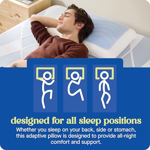 Sealy Dreamlife Standard Cooling Memory Foam Pillow with Gel Cover - Removable Washable Cover, Made in USA