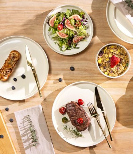 TheTerra 12-Piece Ceramic Dinnerware Set for 4 - Beige, Microwave Safe