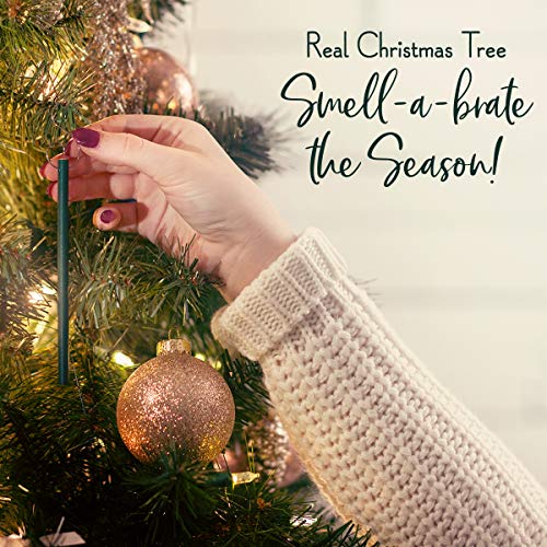 Scentsicles White Winter Fir Christmas Tree Ornaments - Natural Holiday Air Freshener, Set of 6