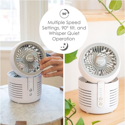 Crane 2-in-1 Air Purifier and Desk Fan - Standard Edition, Small HEPA Filter, Night Stand & Office Use