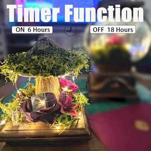 4 Pack Fairy String Lights,6.56FT 20LED,2AA Battery Operated,Timer Founction,Copper Wire String Lights, IP65 Waterproof,Indoor/Outdoor flexible for DIY ,Party, Bedroom, flowers decoration(Warm White)