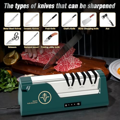 Electric Knife Sharpener with Touch Screen & Variable Speed - Green Variation