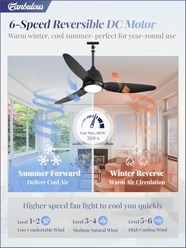 Fanbulous 42-Inch Black Outdoor Ceiling Fan with Lights, IP65 Waterproof, Remote Control
