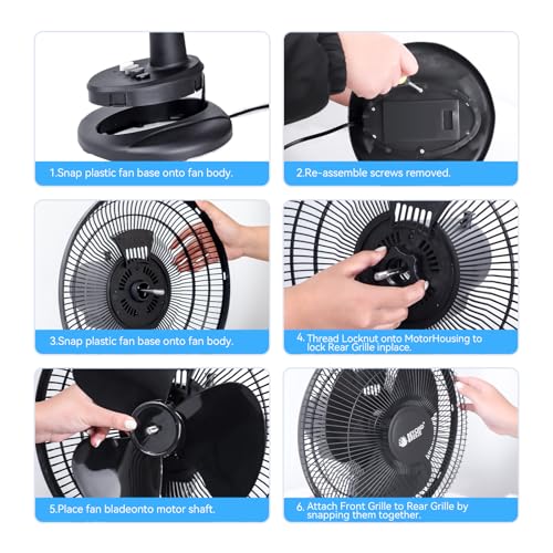 BEYOND BREEZE 12-Inch Black Oscillating Table Fan, 3 Speeds, Quiet & Portable
