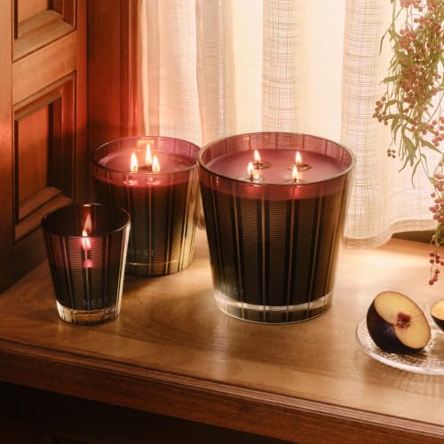 Nest New York Autumn Plum Scented Candle 8.1 oz - Long Burn Time, Reusable Glass