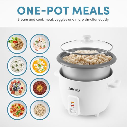 8-Cup (Uncooked) Rice Cooker with One-Touch Control - 16-Cup Cooked Capacity