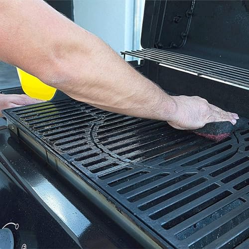 Heavy-Duty Oven and Grill Cleaner 19 oz - Case of 4 with 9.5 Fl Oz Pack of 4 Variation