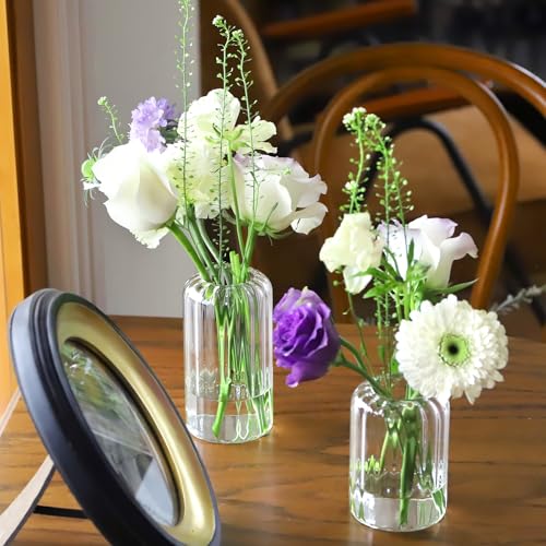 Glass Cylinder Vases Set - Clear Ribbed Tall Flower Bud Vases for Weddings & Home Decor